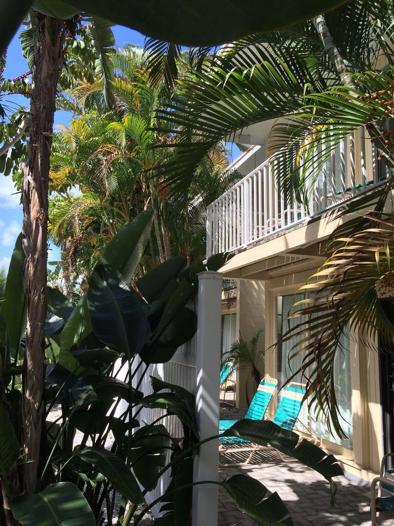 Coquina On The Beach Lido Key  Bagian luar foto